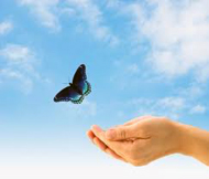 Dr. Nicole Gabriel Westport CT